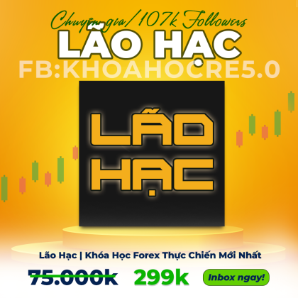 Khóa Học Forex Lão Hạc