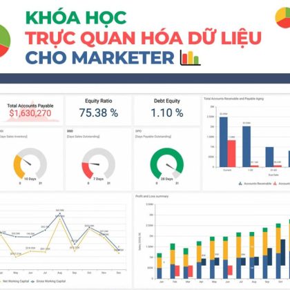khóa học trực quan hóa dữ liệu data visualization cho marketer