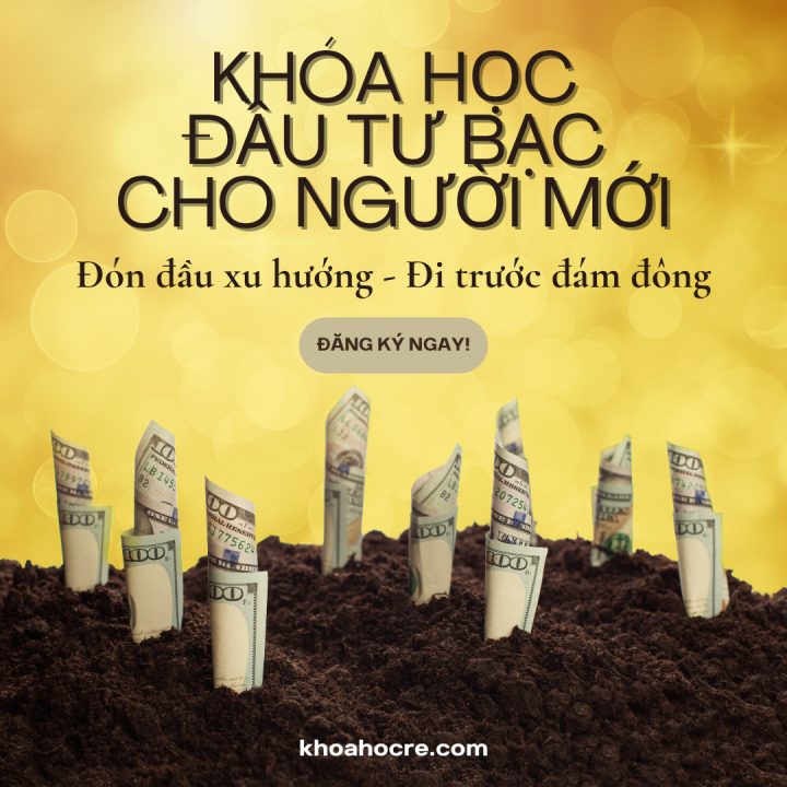 KHÓA HỌC đầu tư bạc cho người mới KHÓA HỌC đầu tư bạc cho người mới
